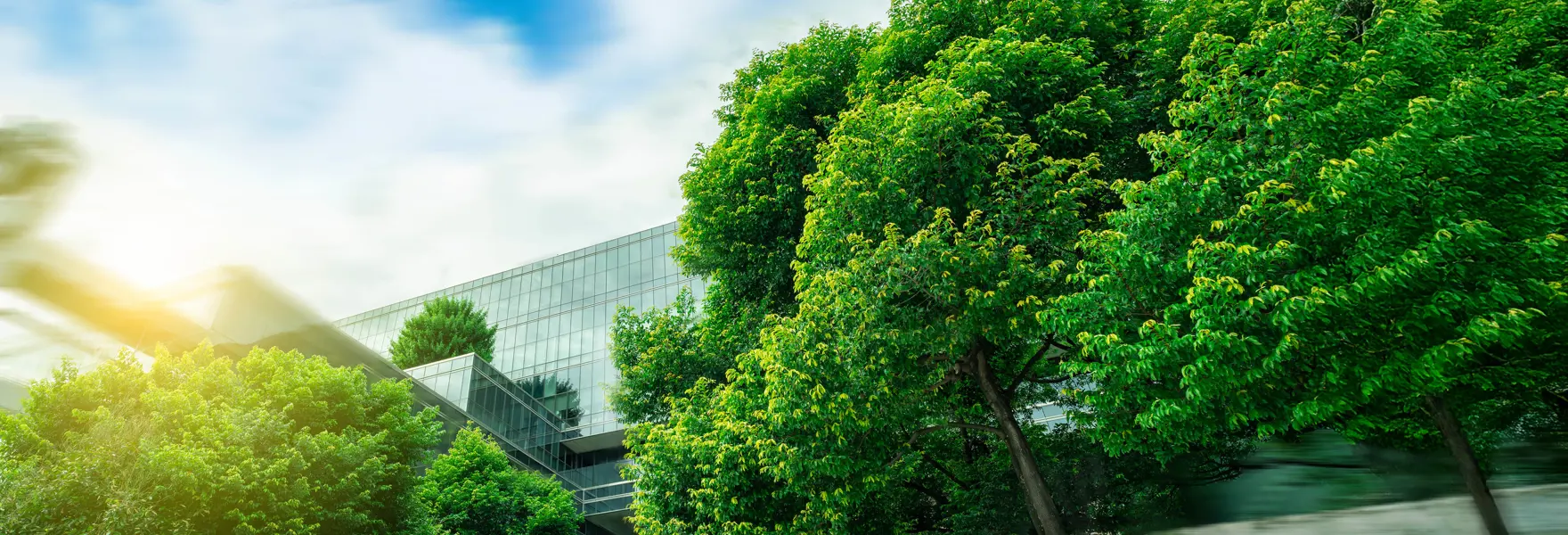 Taxonomy Aligned Imprese